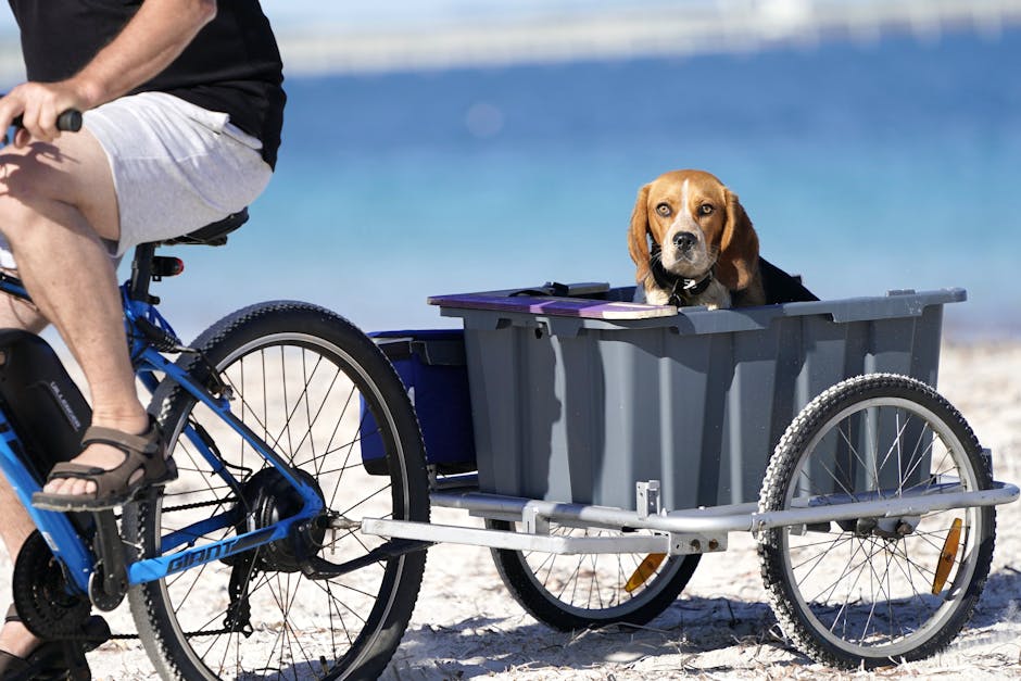 A beagle sitting in a bicycle trailer on a beach, enjoying a sunny day by the sea.